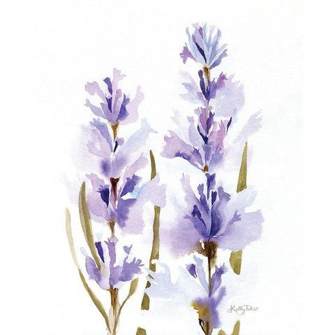 Lavender Fields I Black Modern Wood Framed Art Print by Talent, Kelley