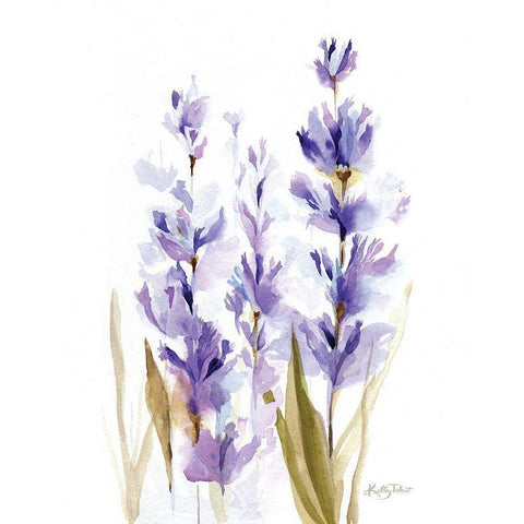Lavender Fields II Black Modern Wood Framed Art Print by Talent, Kelley