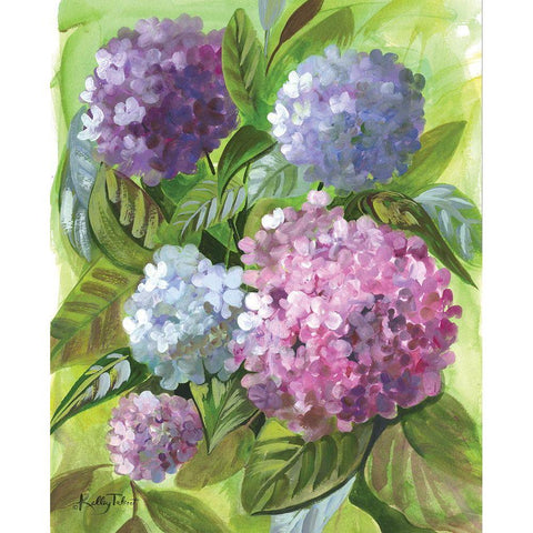 Hydrangea Blooms White Modern Wood Framed Art Print by Talent, Kelley