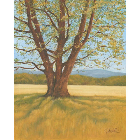Spring Meadow Black Modern Wood Framed Art Print by Sherrill, Kate