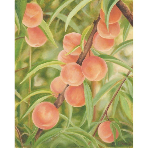 Peach Perfect White Modern Wood Framed Art Print by Sherrill, Kate