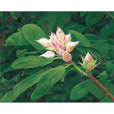 A Whisper of Pink White Modern Wood Framed Art Print by Sherrill, Kate