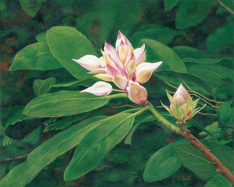 A Whisper of Pink White Modern Wood Framed Art Print with Double Matting by Sherrill, Kate