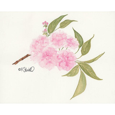 Bashful Blossoms Black Modern Wood Framed Art Print with Double Matting by Sherrill, Kate