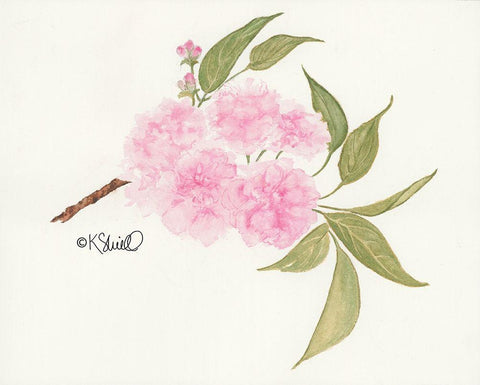 Bashful Blossoms White Modern Wood Framed Art Print with Double Matting by Sherrill, Kate