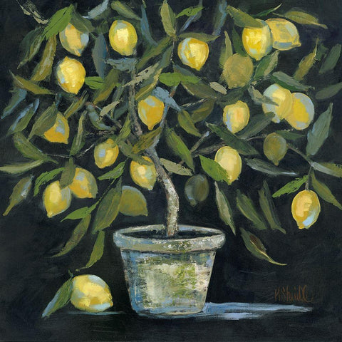 Lemon Tree Black Modern Wood Framed Art Print with Double Matting by Sherrill, Kate