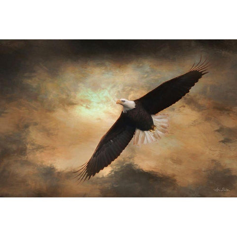 Soaring Eagles Black Modern Wood Framed Art Print with Double Matting by Deiter, Lori