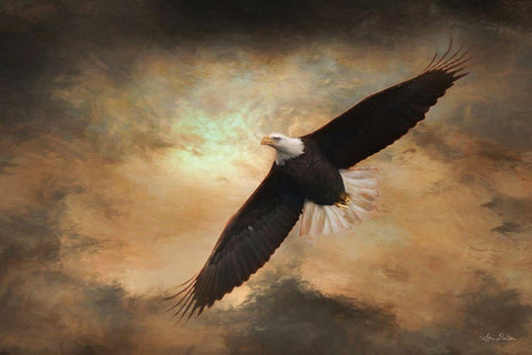 Soaring Eagles Black Ornate Wood Framed Art Print with Double Matting by Deiter, Lori