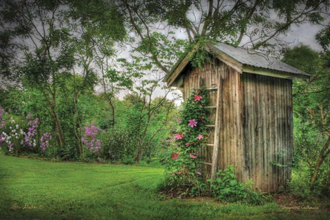 Fragrant Outhouse White Modern Wood Framed Art Print with Double Matting by Deiter, Lori