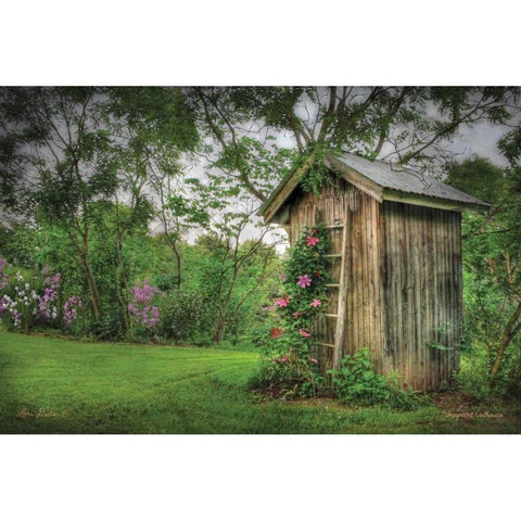 Fragrant Outhouse White Modern Wood Framed Art Print by Deiter, Lori