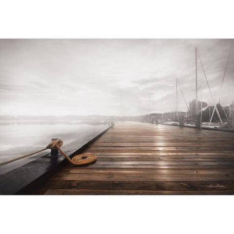 Newport Dock I Black Modern Wood Framed Art Print with Double Matting by Deiter, Lori