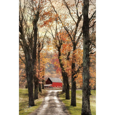 On Those Country Roads White Modern Wood Framed Art Print by Deiter, Lori