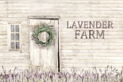 Lavender Farm White Modern Wood Framed Art Print with Double Matting by Deiter, Lori