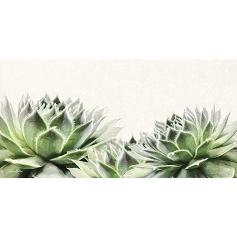 Soft Succulents I White Modern Wood Framed Art Print by Deiter, Lori