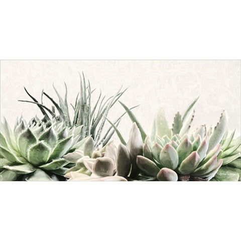 Soft Succulents II White Modern Wood Framed Art Print by Deiter, Lori