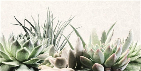 Soft Succulents II White Modern Wood Framed Art Print with Double Matting by Deiter, Lori