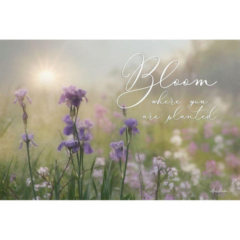 Bloom Where You are Planted White Modern Wood Framed Art Print by Deiter, Lori