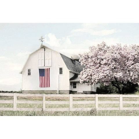 Brownsville Patriot White Modern Wood Framed Art Print by Deiter, Lori