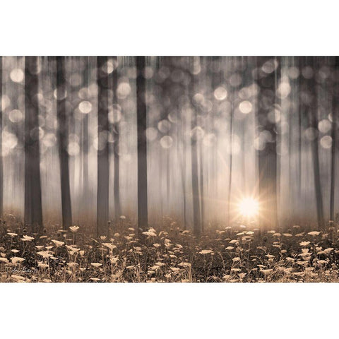 Enchanted Morning Black Modern Wood Framed Art Print with Double Matting by Deiter, Lori