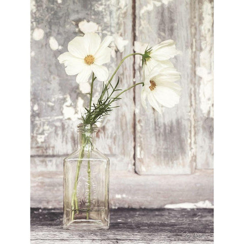 Cosmos Summer Bloom White Modern Wood Framed Art Print by Deiter, Lori