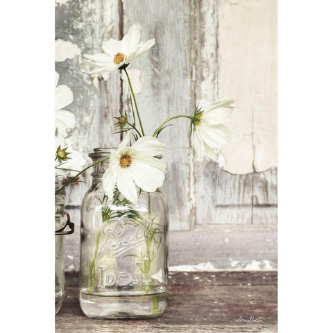 White Blossoms White Modern Wood Framed Art Print by Deiter, Lori