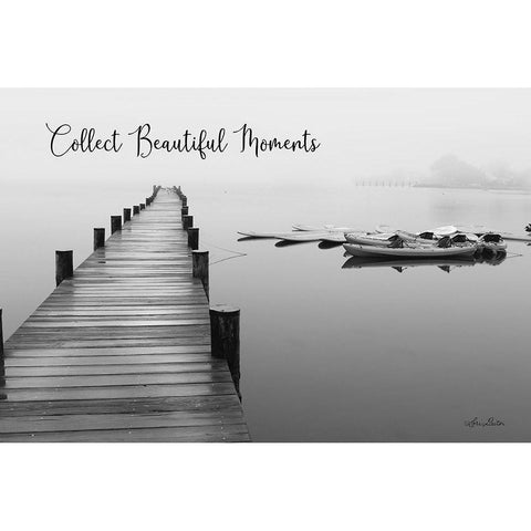 Collect Beautiful Moments Black Modern Wood Framed Art Print with Double Matting by Deiter, Lori