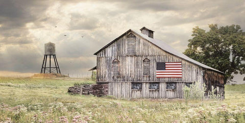 Rural Virginia Barn Black Ornate Wood Framed Art Print with Double Matting by Deiter, Lori