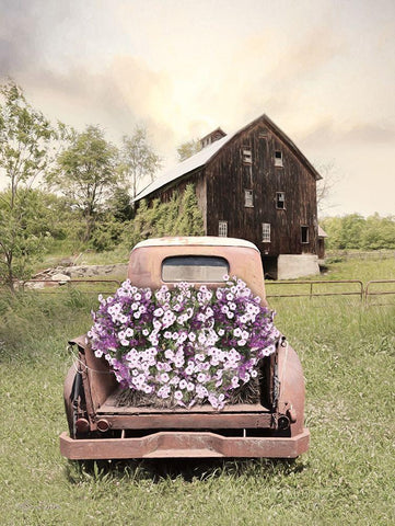 Petunia Truck White Modern Wood Framed Art Print with Double Matting by Deiter, Lori