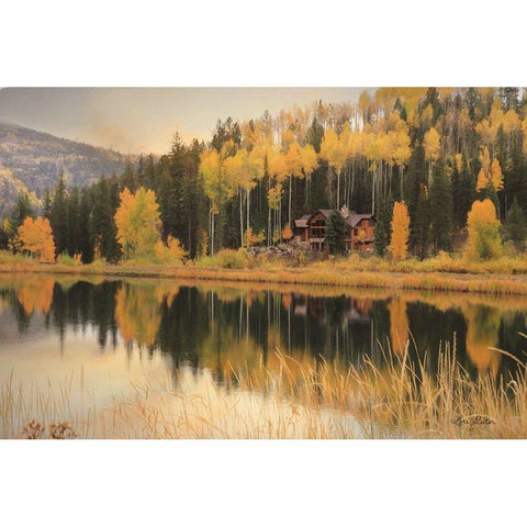 Durango Reflections    Black Modern Wood Framed Art Print with Double Matting by Deiter, Lori