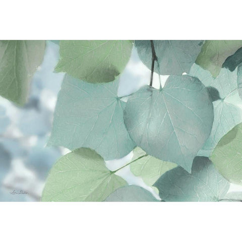 Aqua Leaves White Modern Wood Framed Art Print by Deiter, Lori