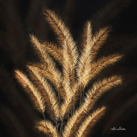 Golden Grass II Black Modern Wood Framed Art Print by Deiter, Lori