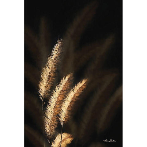 Golden Grass III Black Modern Wood Framed Art Print with Double Matting by Deiter, Lori