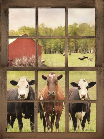 Three Moo View White Modern Wood Framed Art Print with Double Matting by Deiter, Lori