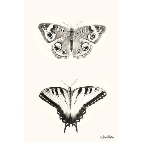 Butterflies     Black Modern Wood Framed Art Print with Double Matting by Deiter, Lori