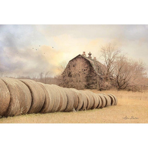 Good Day on the Farm White Modern Wood Framed Art Print by Deiter, Lori