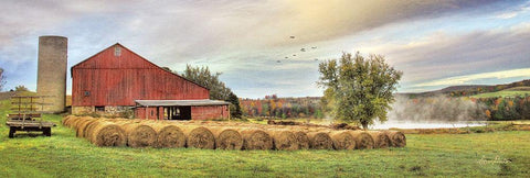 Tioga Hay Bales Black Ornate Wood Framed Art Print with Double Matting by Deiter, Lori