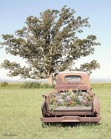 Field of Dreams   Black Ornate Wood Framed Art Print with Double Matting by Deiter, Lori