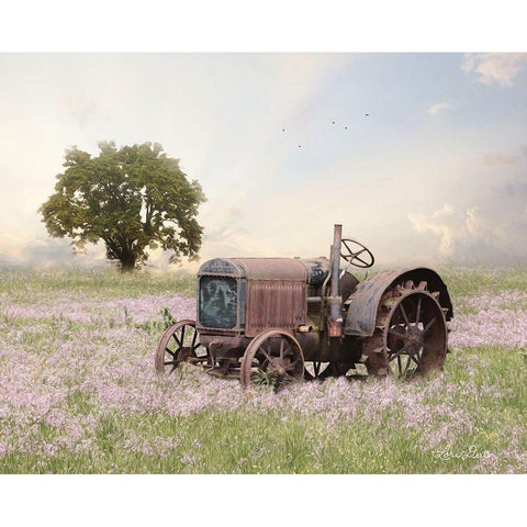 Tractor at Sunset   Black Modern Wood Framed Art Print with Double Matting by Deiter, Lori