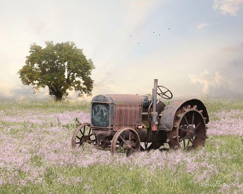 Tractor at Sunset   Black Ornate Wood Framed Art Print with Double Matting by Deiter, Lori