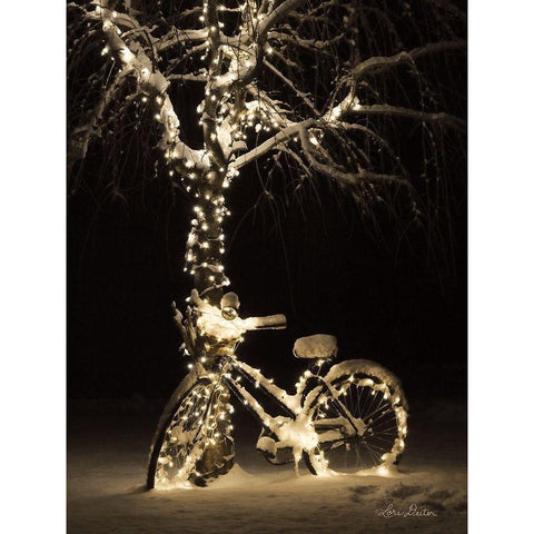 Snowy Bicycle Black Modern Wood Framed Art Print with Double Matting by Deiter, Lori