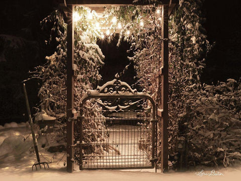 Snowy Garden Gate Black Ornate Wood Framed Art Print with Double Matting by Deiter, Lori