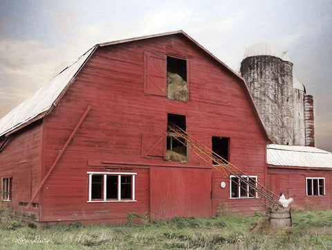 Hay Filled Barn Black Ornate Wood Framed Art Print with Double Matting by Deiter, Lori