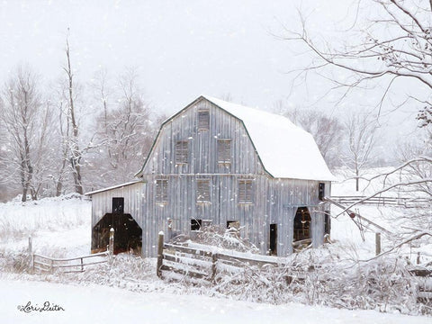 Blue Tinted Barn White Modern Wood Framed Art Print with Double Matting by Deiter, Lori