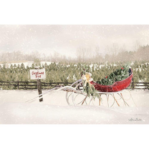 Red Sleigh at Tree Farm Black Modern Wood Framed Art Print with Double Matting by Deiter, Lori