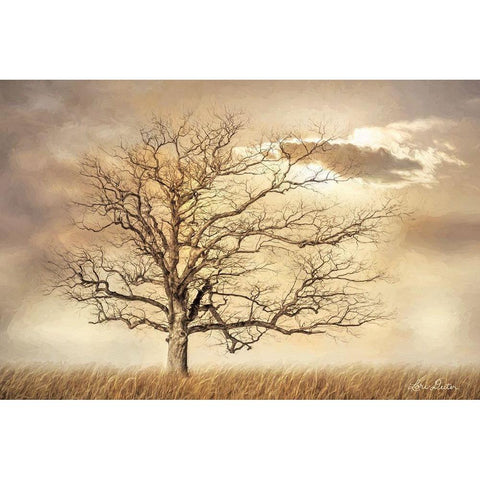 Golden Tree     White Modern Wood Framed Art Print by Deiter, Lori