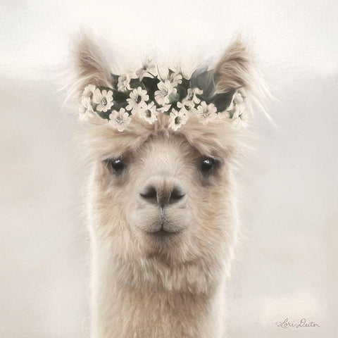 Alpaca with Flowers White Modern Wood Framed Art Print by Deiter, Lori