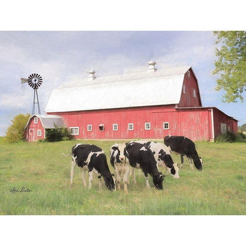 Henderson Cows    Black Modern Wood Framed Art Print with Double Matting by Deiter, Lori