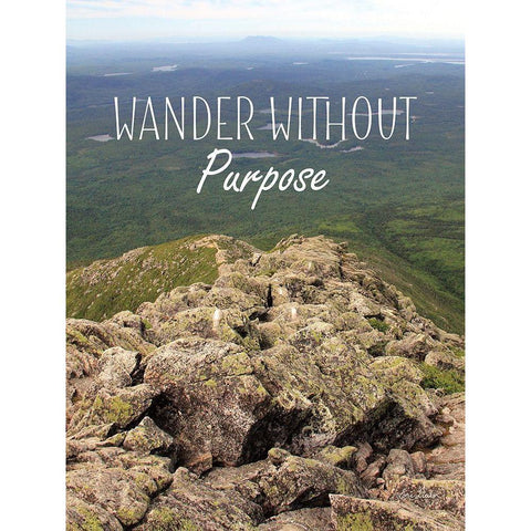 Wander Without Purpose Gold Ornate Wood Framed Art Print with Double Matting by Deiter, Lori