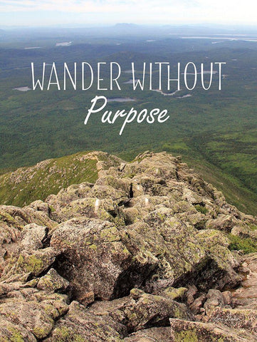 Wander Without Purpose White Modern Wood Framed Art Print with Double Matting by Deiter, Lori