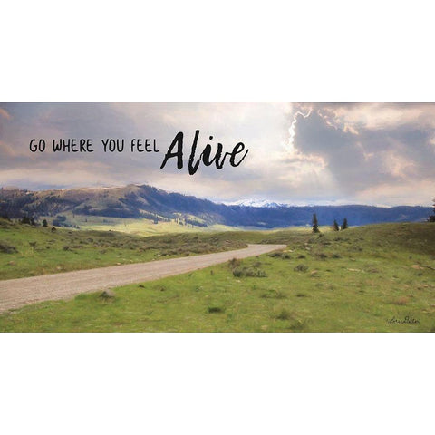 Go Where You Feel Alive Black Modern Wood Framed Art Print with Double Matting by Deiter, Lori